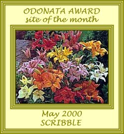 Thank you Jackie ! Dragonfly Landing's Site of the Month, May 2000