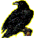 To Visit the Raven